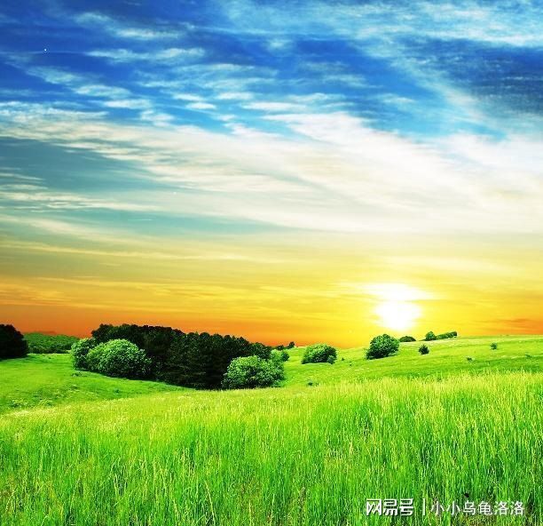 洪荒之力影视 支持4K HDR画质与杜比音效