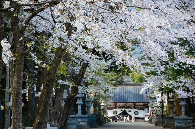 蘑菇app下载 蘑菇应用内互动形式丰富