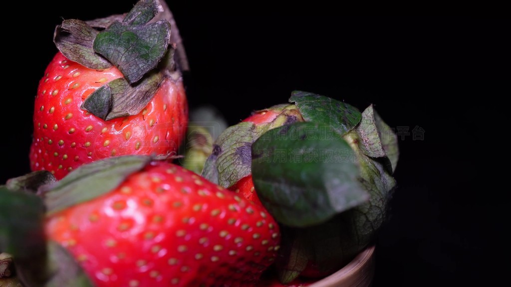 四圣兽传之时空三国无敌版 加入新圣兽或三国英雄