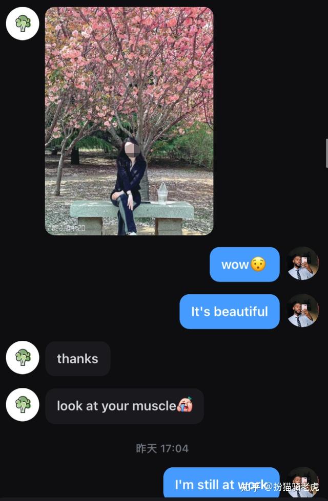 创造与魔法幼紫鲨饲料 创造但游戏更新后可能失效