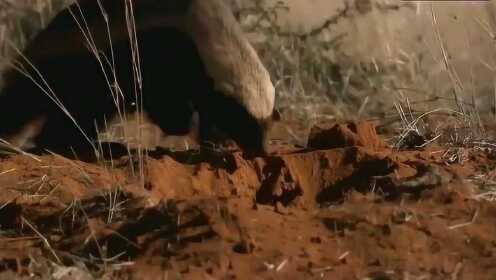 经典视频在线 谨慎点击不明弹窗和下载链接