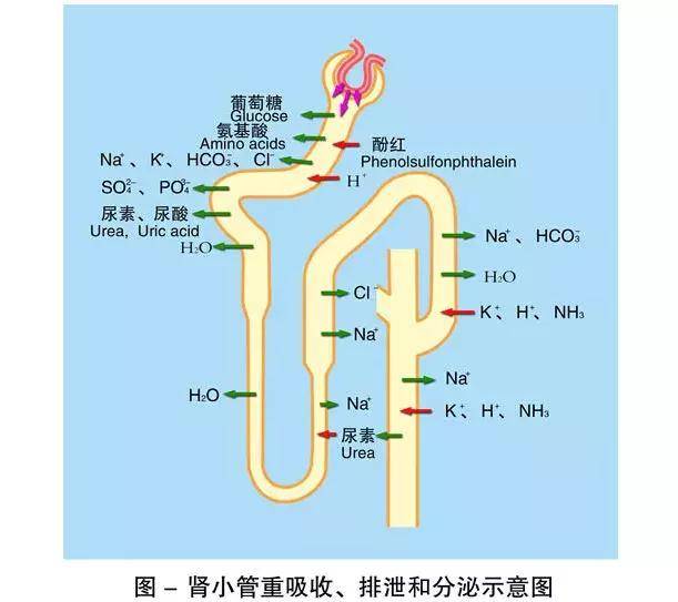 圣辉战队在线 技能释放与战斗反馈精准