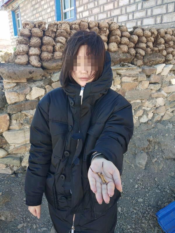 全高清录播系统大片一