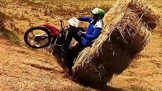 99精品久久久久中文字幕