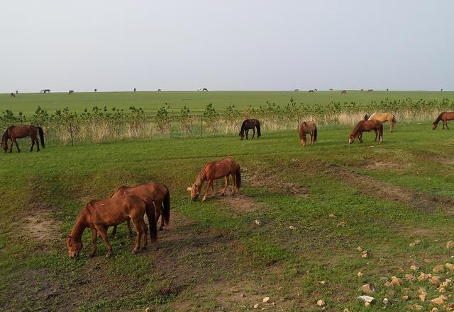 男同女同 渴望被社会和家人接纳