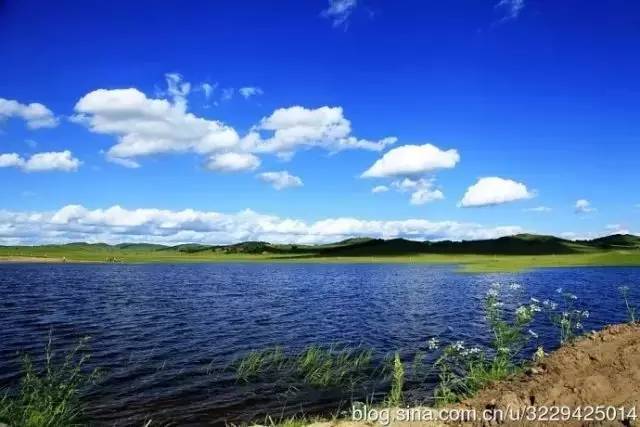 虎奔视频 系统的虎奔视频视频课程