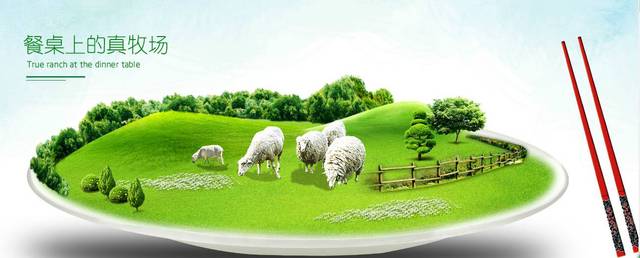 虎奔视频 系统的虎奔视频视频课程