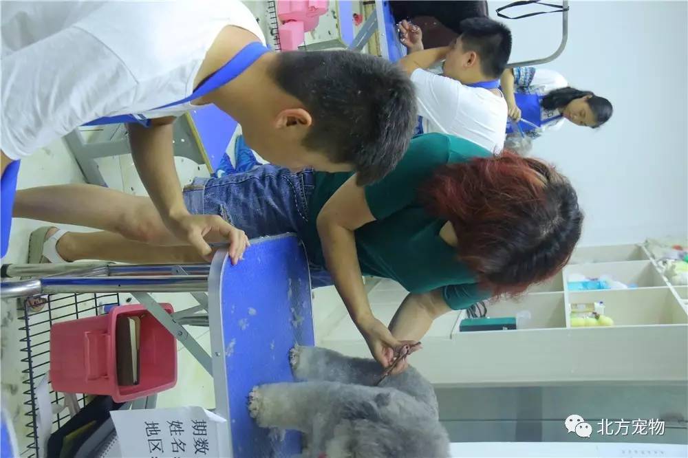 五一吃瓜网学生校园