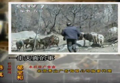 犬夜叉完结篇国语在线观看