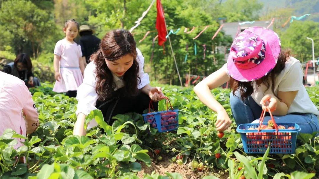 谭晓彤兔兔下海视频