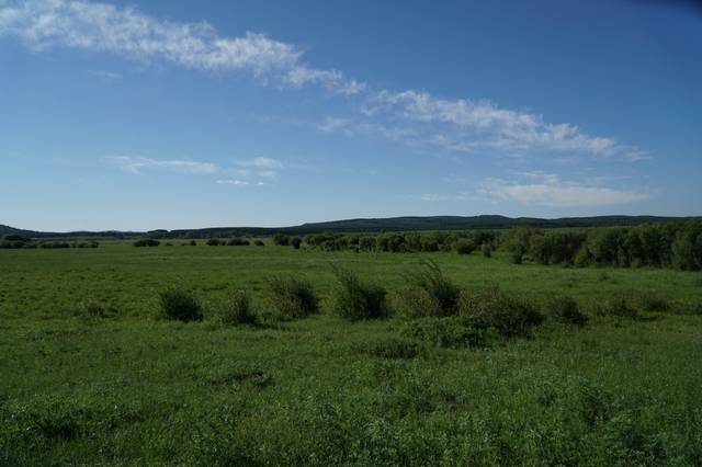 yan de x摸摸漫画