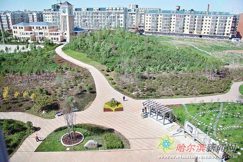 啄木鸟系列女仆 啄木我非常乐意为你提供帮助