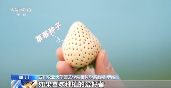 凹凸国产熟女精品视频国语 国产熟女精品视频的凹凸兴起