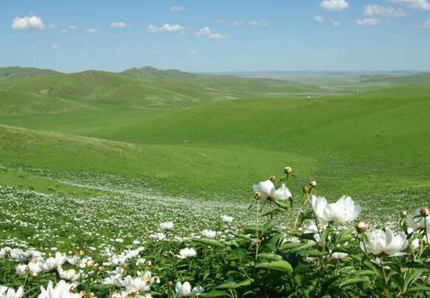 未成年开车被交警抓到怎么办 可以并处吊销机动车驾驶证