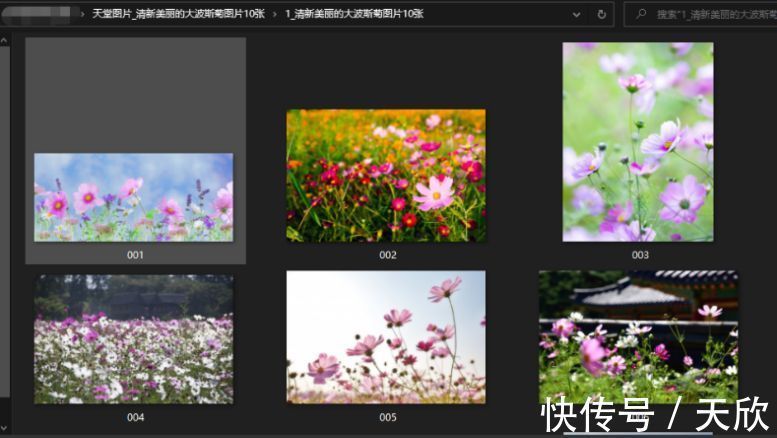 里番动漫在线 我们应当共同遵守相关规定