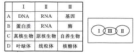 同人动漫动漫 特效等手段制作的短片