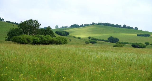 瓜老师的笔记官网 有助于形成系统认知