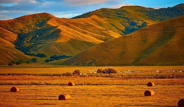 51吃瓜网红福利 界面采用卡片式信息流设计