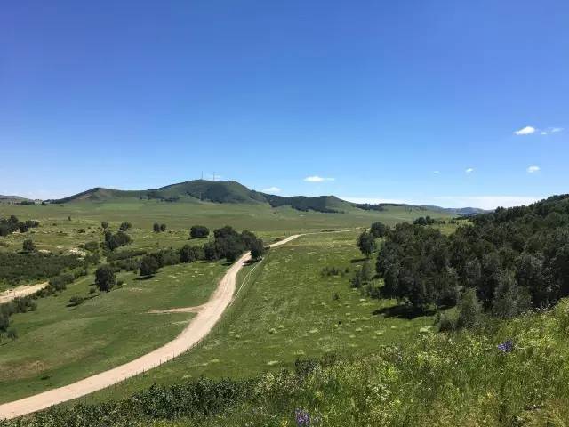 51吃瓜网红福利 界面采用卡片式信息流设计