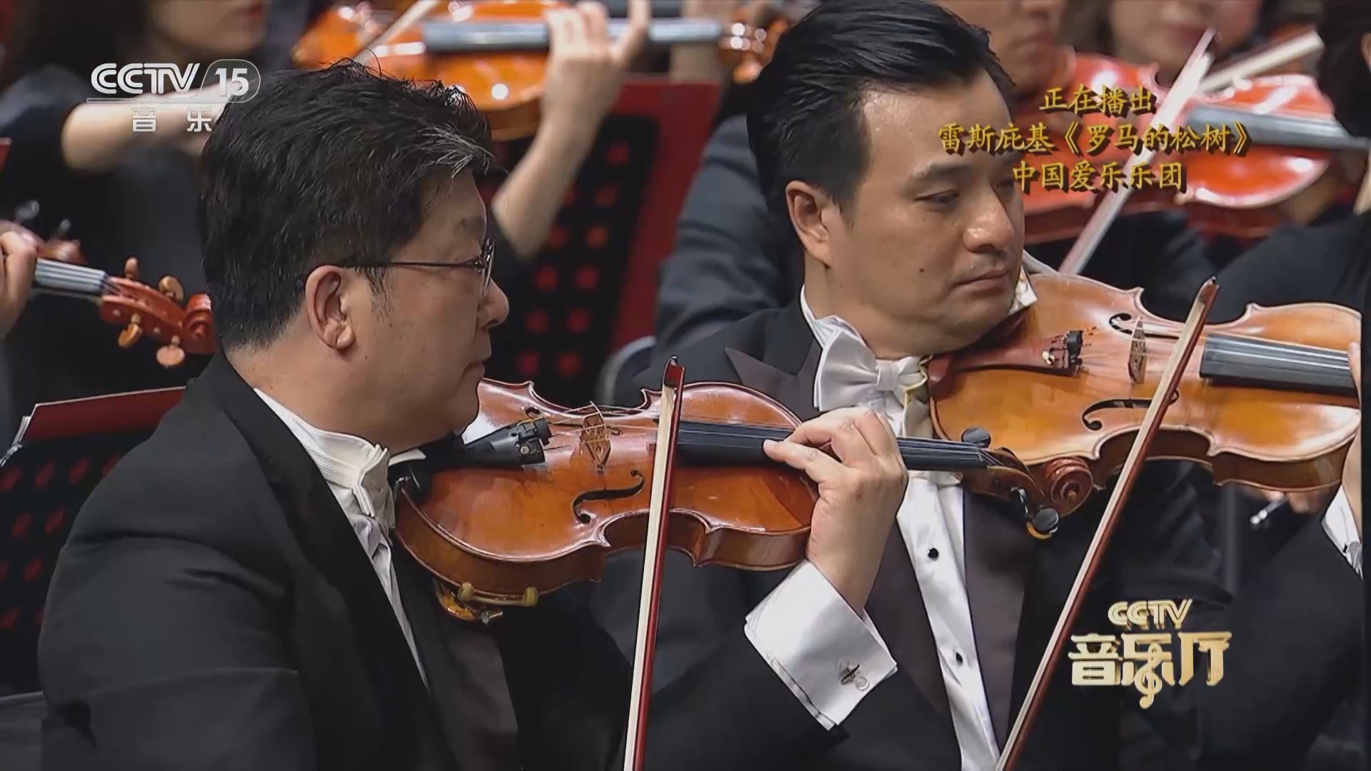 热带夜惑水野朝阳在线播放