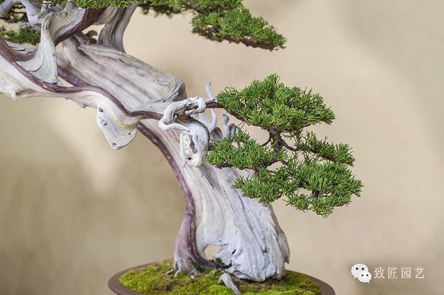 欧美4k高清视频 它代表“高动态范围”