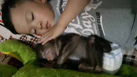 https：／／raindrop.io／shfwz明星无偿