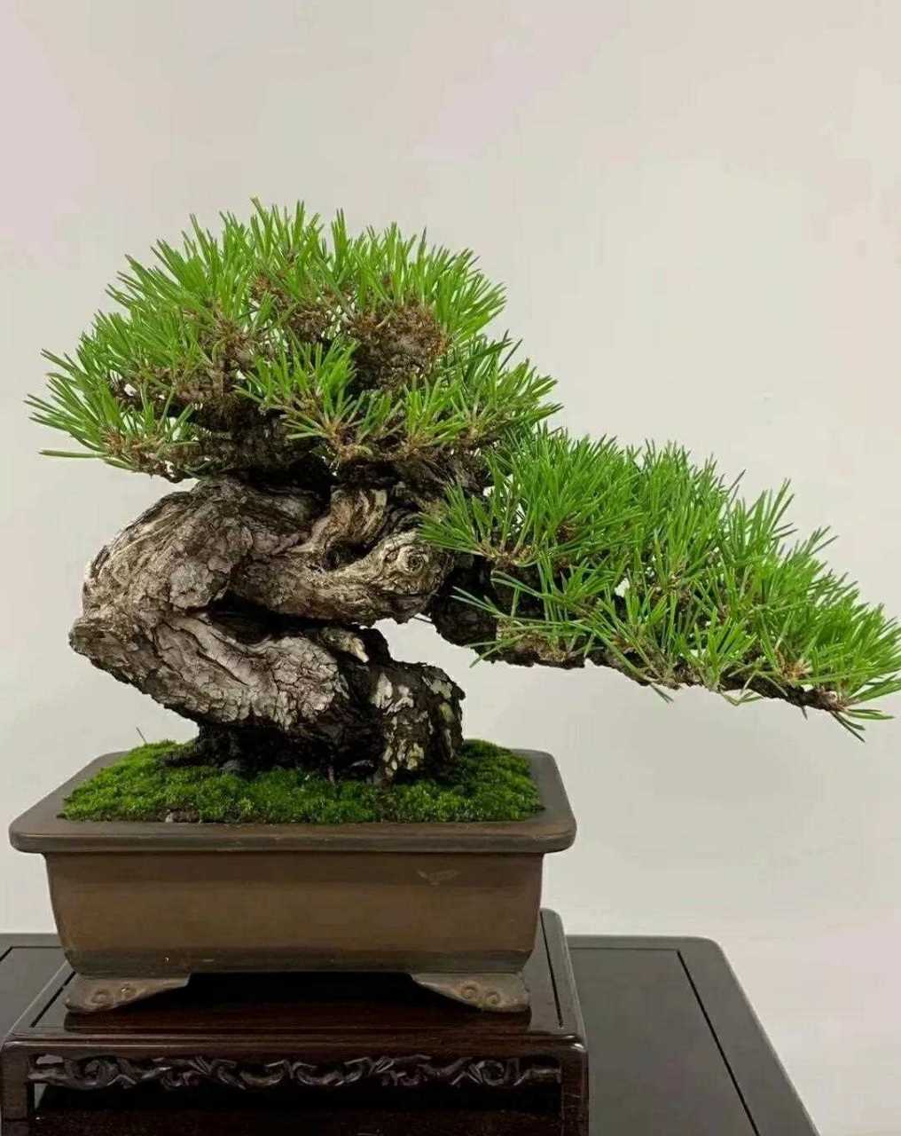 3d免费动漫 免漫建议：如果使用