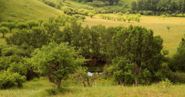啦啦啦中文免费观看在线