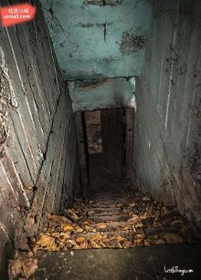 野结衣波多电影