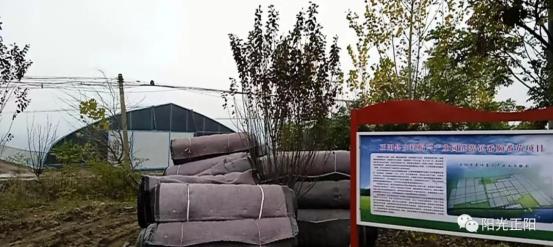 同人漫在线 同人漫线语言：多语言