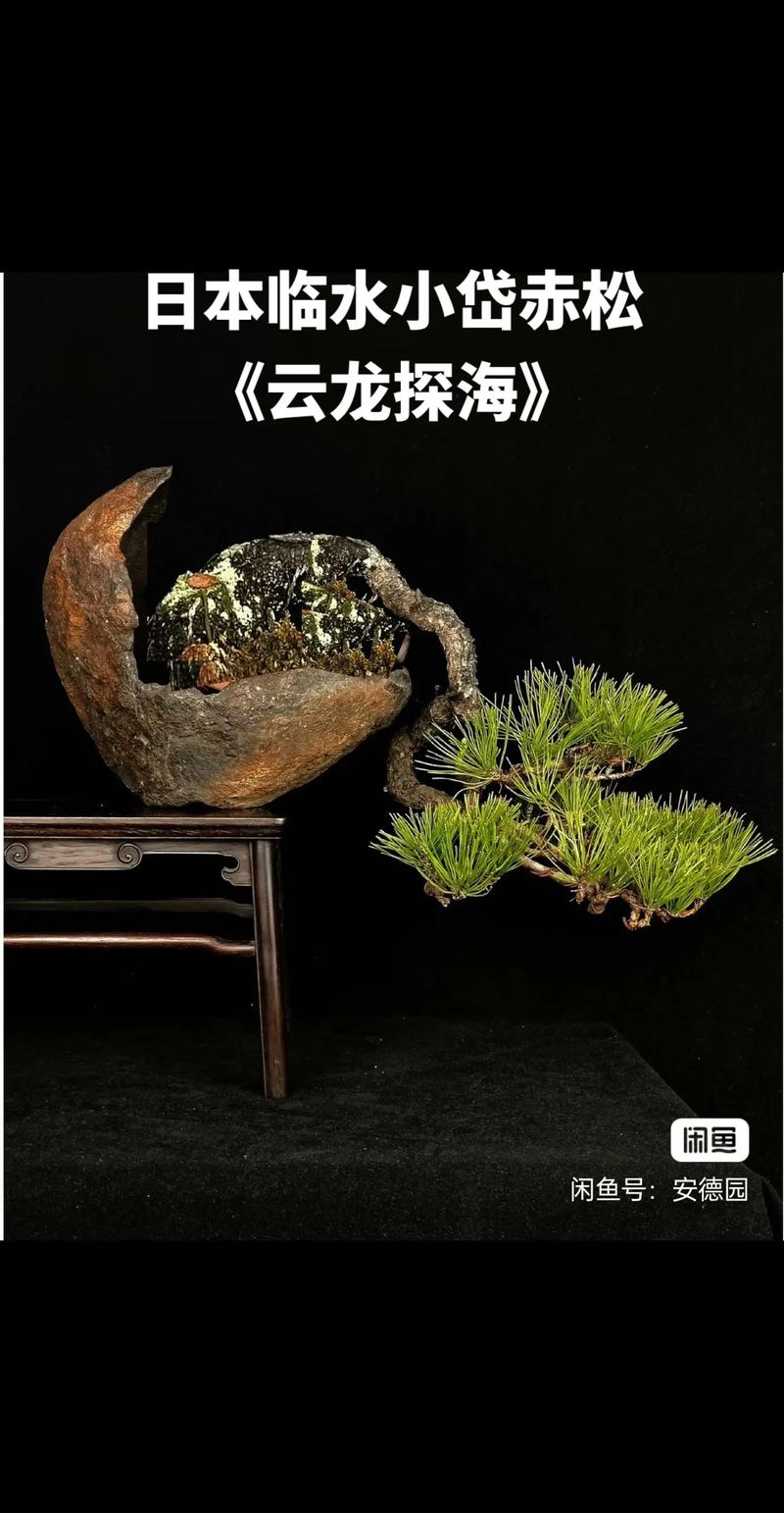 视频 b 视频依赖于前后帧来压缩数据