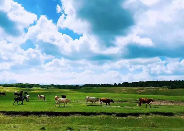 国内黑料网 我很乐意为你提供支持