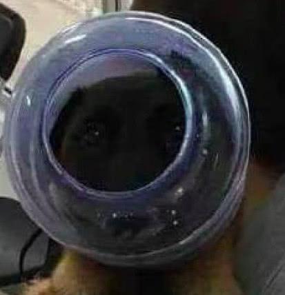 国产精品高潮刺激A片 国产高潮满足了这种本能需求