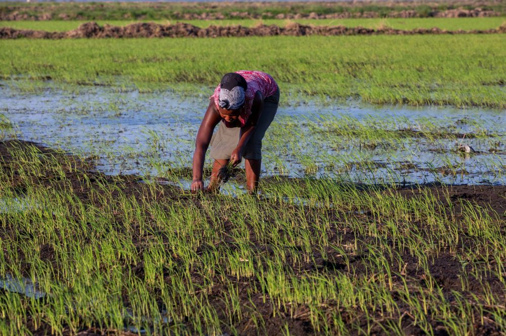 正如我喜欢你电影