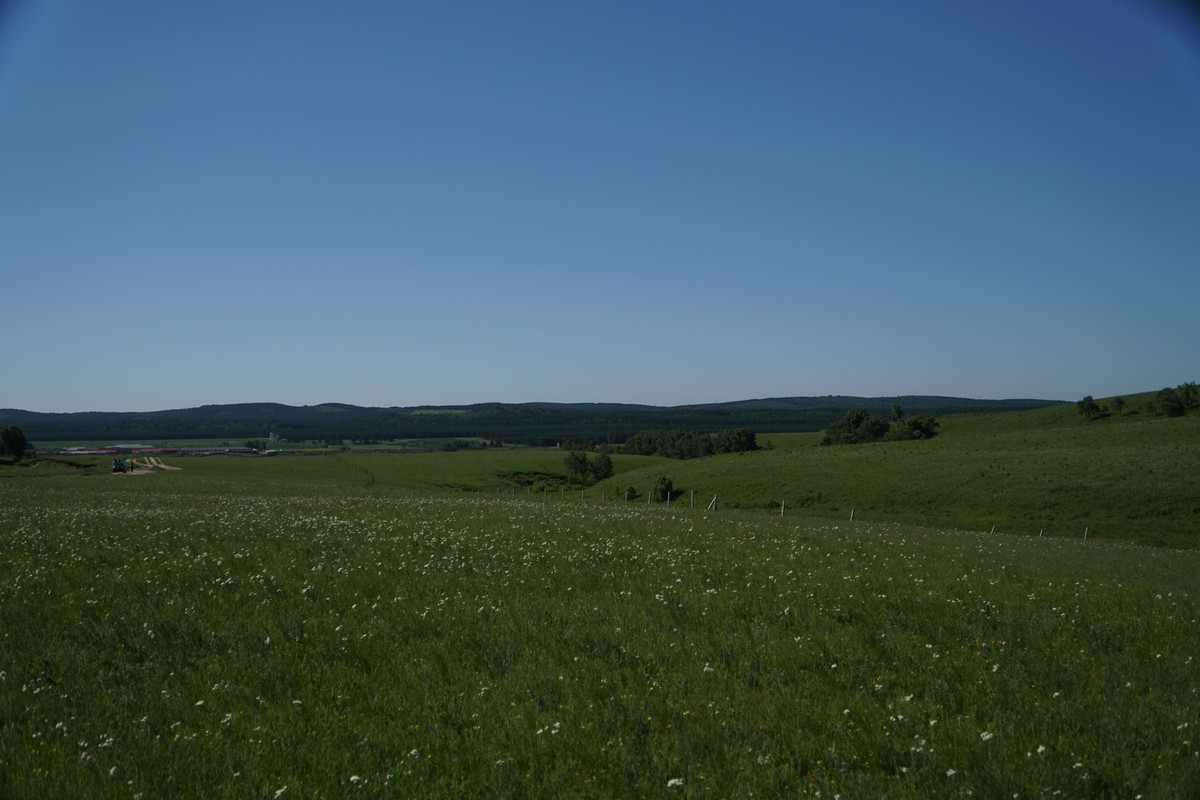 黑料第一吃瓜 它是黑料高效的“信息雷达”