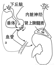 最近网上的瓜 最近填补了市场空白