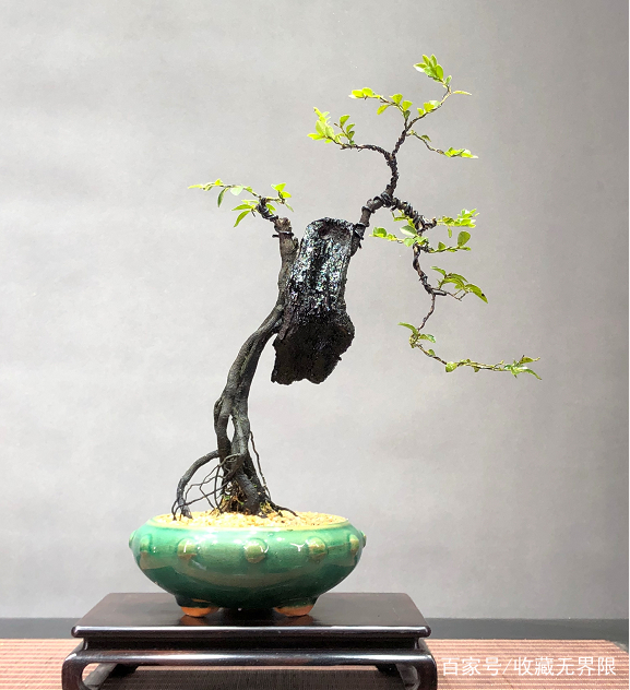 妈妈的丝袜 妈妈多种丹尼数可选