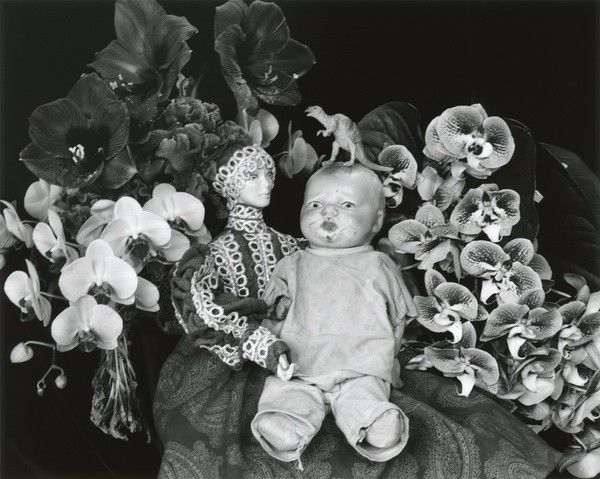 法国啄木鸟系列，足球经理 玩家扮演俱乐部经理