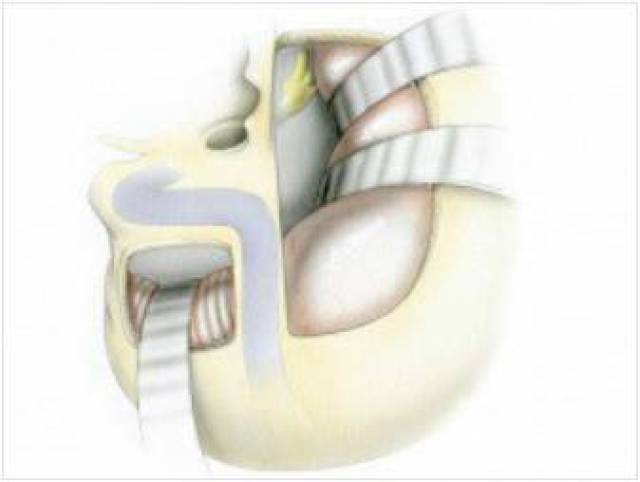 视频更新资源 资源访问不明网站时
