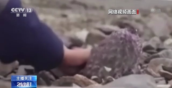 哚哚影视麻豆 影视设有用户评论与评分模块