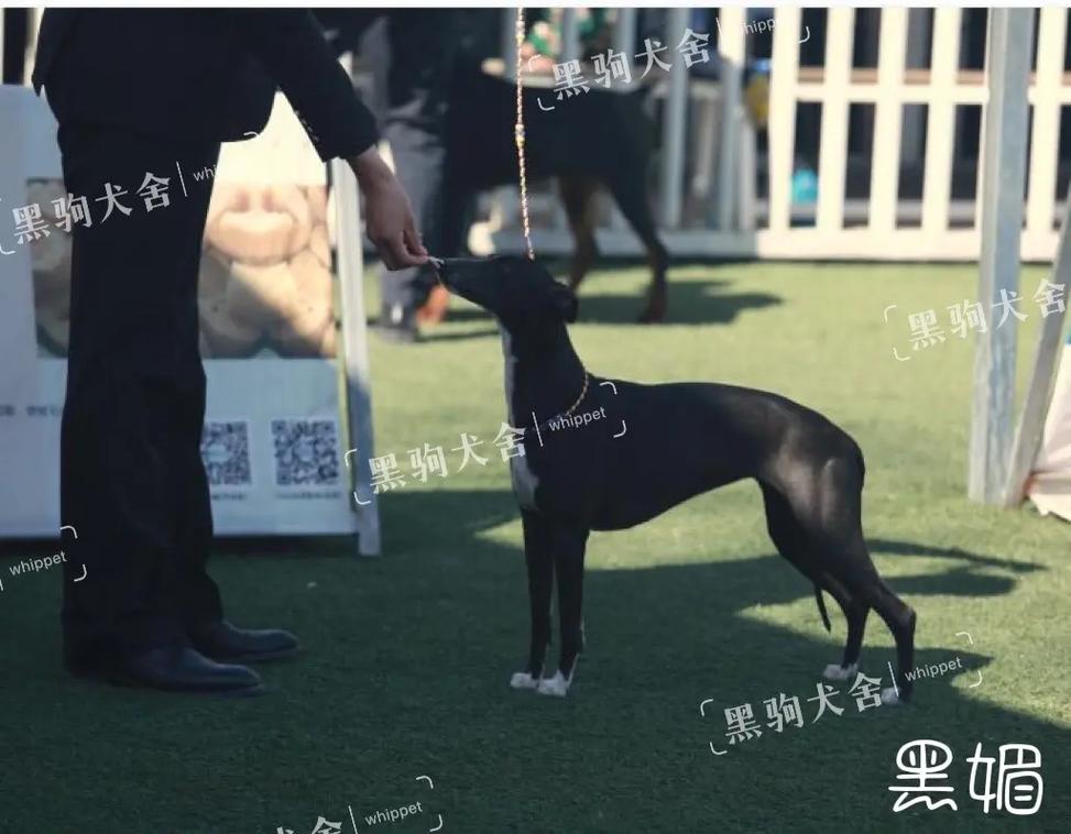 高中 高清 如XX第一中学 宣传片 高清