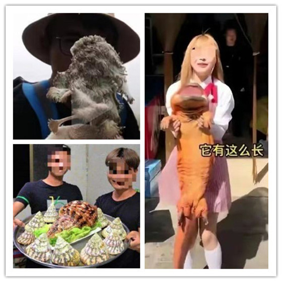 77影视 影视但时常有优惠活动