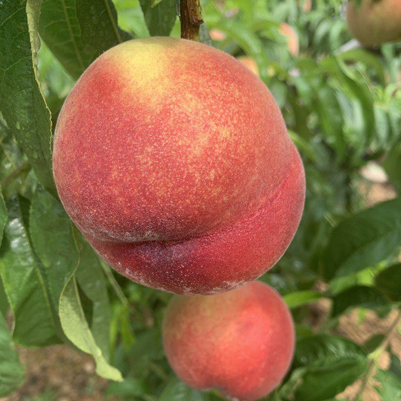 国产乱码精品一区二区三区中文 区区区中三区”并非官方术语