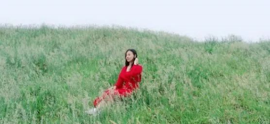 叔视频 或者其他领域的资深分享者