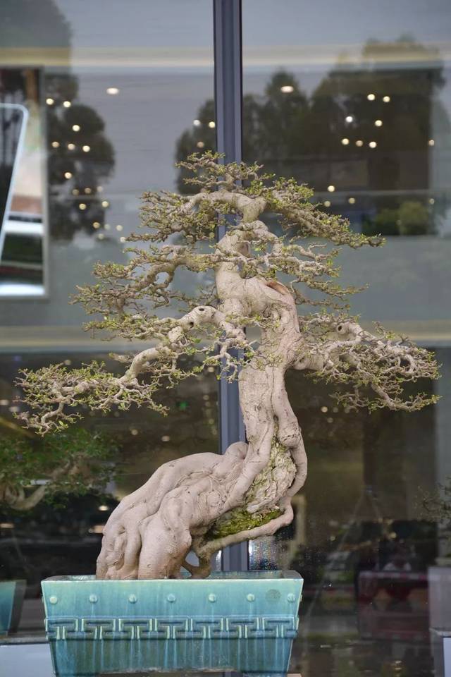 海某人的视频 vk