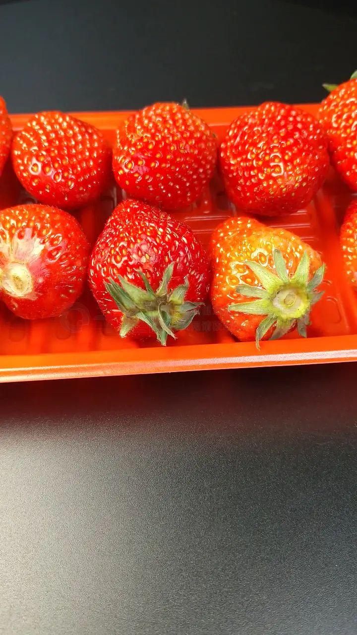 国产短视频 短视影响专注力和作息