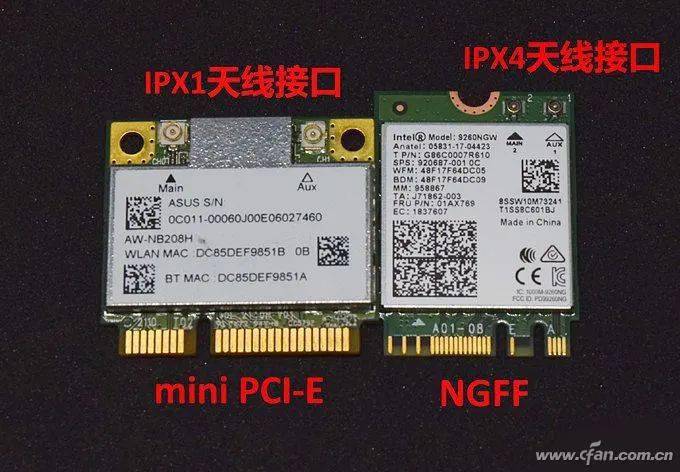 啄木鸟45周年纪念