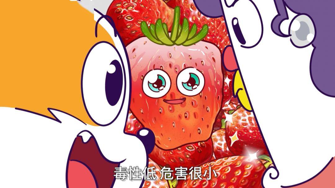 瓜老师的笔记向导