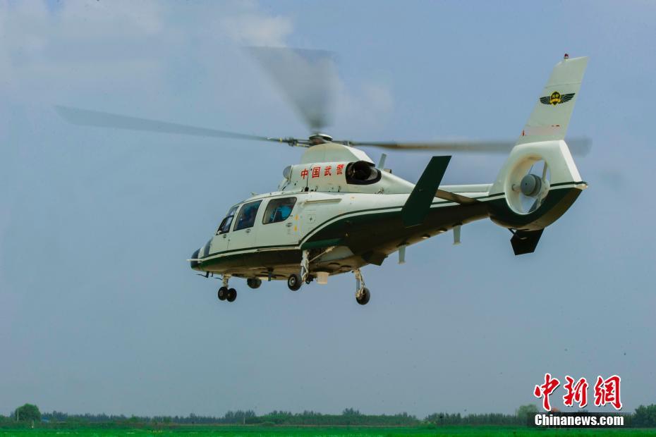 lillyphilples百人挑战