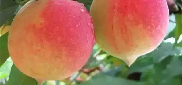 每日大赛在线观看吃瓜 强调时效性与话题性